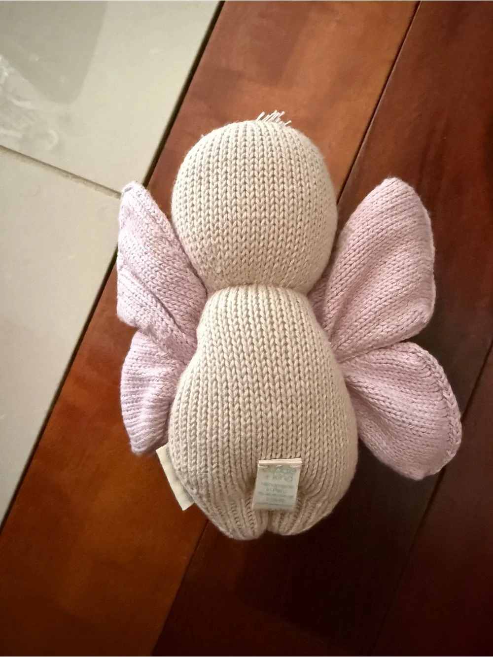 Baby Butterfly
